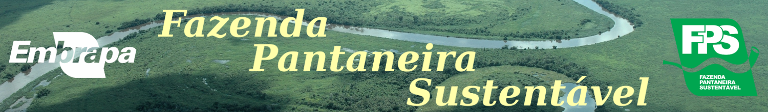 Banner de cabeçalho