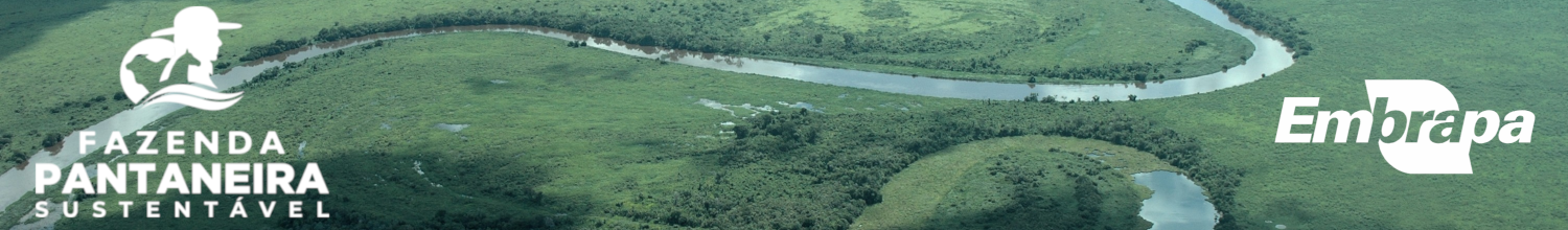 Banner de cabeçalho